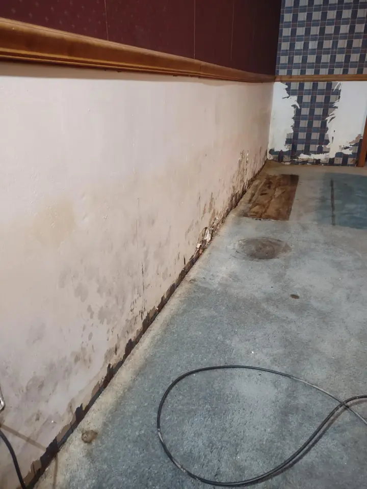 Floors, Tile & Drywall: Basement drywall work